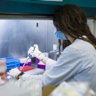 l'impegno della Fondazione Ricerca Molinette