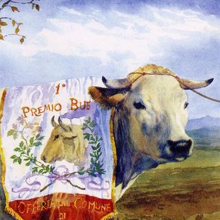 In dieci giorni la fanpage de &quot;La Fiera Nazionale del Bue Grasso a Carrù&quot; conta già 500 iscritti: rivivi le manifestazioni passate e scopri il programma della 107° edizione