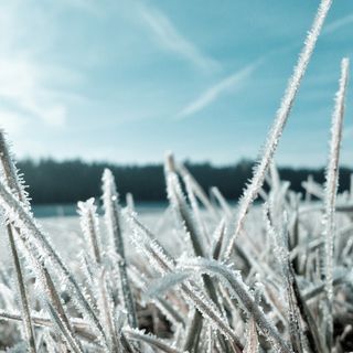 Meteo, settimana ventosa con prime gelate in pianura e neve sui rilievi