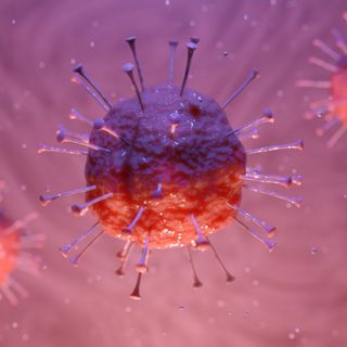 Coronavirus, anche oggi calano i ricoverati in Piemonte: -31, di cui 4 in meno in terapia intensiva