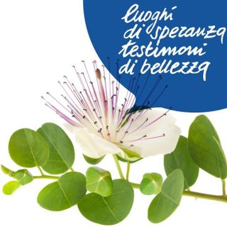 21 marzo: la Città metropolitana di Torino celebra la Giornata della memorie delle vittime delle mafie