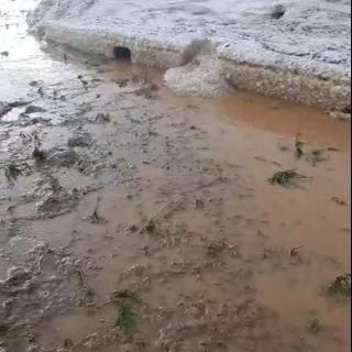 Grandinate sulla zona Sud del Torinese, ingenti danni alle colture