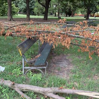 Maxi ramo si schianta su una panchina al Valentino