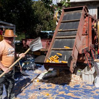 Domenica a Chiusa di San Michele la 14esima edizione di “Gusto di Meliga”