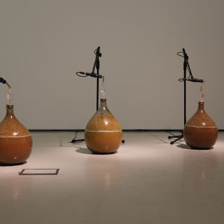 “Studio per Natura Morente”, la mostra di Hilario Isola nello studio di Felice Casorati