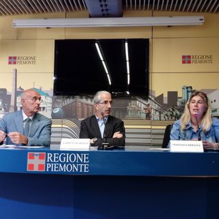 Aumentano i lupi nel cuneese e torinese: cresce anche il bracconaggio