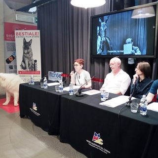 Lassie, Cita e Sfigatto in mostra alla Mole di Torino