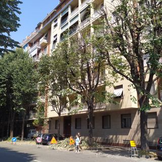 Corso Brescia si rifà il look con la potatura degli alberi
