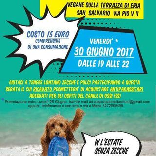 Torino, a San Salvario un'apericena per aiutare i cani