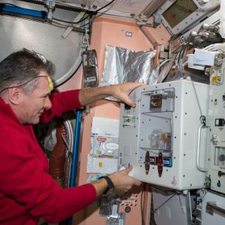 Il caffè di Torino in orbita: Paolo Nespoli celebra così l'International Coffee Day