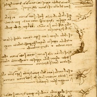 Genialità e universalità di Leonardo da Vinci tra arte, scienza e collezionismo