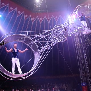 Togni, il cognome che vuol dire &quot;circo&quot; a Torino dal 16 novembre al 16 dicembre