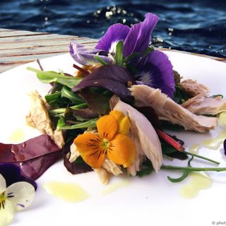 Sanremo: agricoltori e chef a scuola per studiare i fiori eduli Sanremo: agricoltori e chef a scuola per studiare i fiori eduli