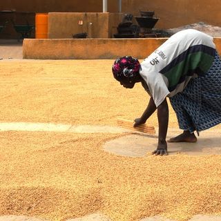 Regione Piemonte e Fondazione Slow Food insieme per il Riso Rosso del Burkina Faso