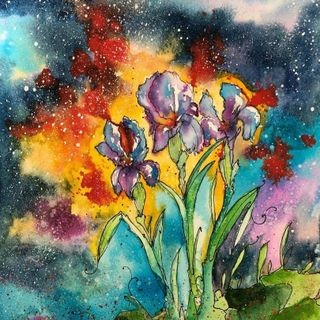 Iris, Vallenari Giuseppe in arte &quot;El Matador Alegre&quot; (https://www.elmatadoralegre.com/)