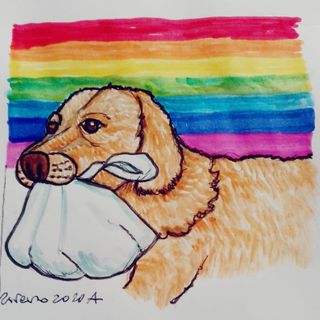 #FavoleaCasa di oggi propone “La spesa a 4 zampe”, la favola psicologica sull’essere troppo o troppo poco, letta e commentata da Fata Zucchina