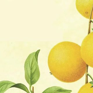 &quot;La salute è nelle tue mani&quot;: domenica presentazione del libro a Villarbasse