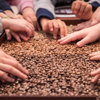 Museo Lavazza, sabato 30 un appuntamento dedicato ai bambini