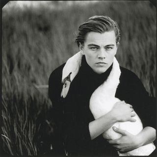 leonardo di caprio