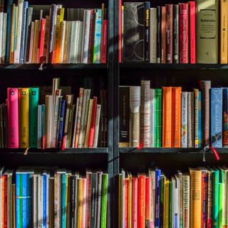 Venerdì 20 mobilitazione dei bibliotecari esternalizzati dell'Università di Torino
