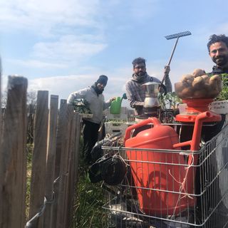 Mirafiori Sud inaugura la tele-coltivazione: &quot;Ci prendiamo cura del vostro orto urbano a distanza&quot;
