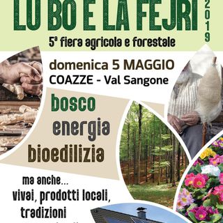 A Coazze la filiera forestale protagonista de &quot;Lu bo e la fejri&quot;