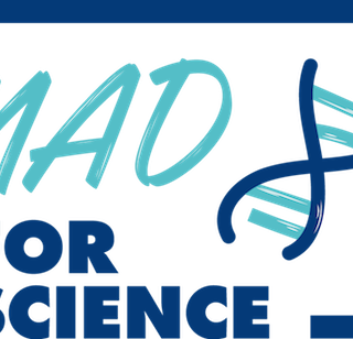 Mad For Science, 44 i licei scientifici del Piemonte iscritti al concorso per vincere 60mila euro