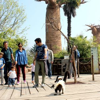 Sabato 23 e 24 giugno bambini gratis al bioparco ZOOM Sabato 23 e 24 giugno bambini gratis al bioparco ZOOM