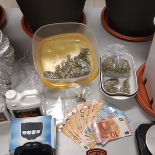 Un uomo lancia un coltello e vari oggetti dalla finestra, interviene la polizia e in casa scopre una serra di marijuana