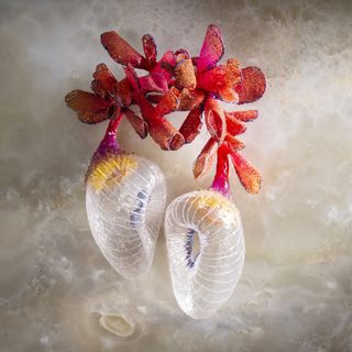 &quot;MateriaMetamorphosis&quot;, a Torino linguaggi contemporanei tra sperimentazione e Post-Natural