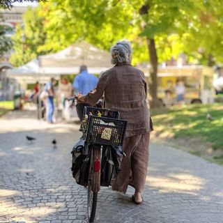 Al Giardino Sambuy, la prima aiuola didattica coltivata a vite