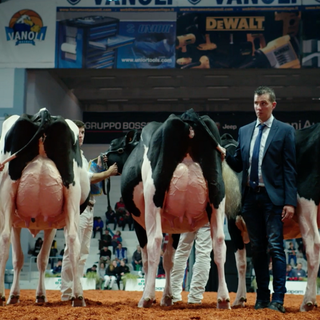 “The Milk System” torna al cinema  dopo l’esposto di Coldiretti e Assolatte “The Milk System” torna al cinema  dopo l’esposto di Coldiretti e Assolatte