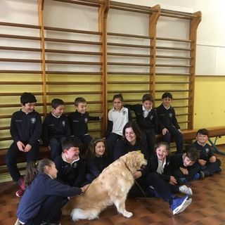 Purina arriva nelle scuole primarie piemontesi con “A scuola con i pet”