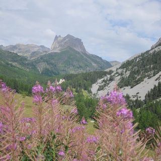 Bardonecchia, festa pellegrinaggio alla cappella del Monte Thabor