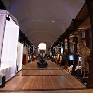 Sala di un museo