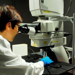 Open Access Lab, all'Unito 3 nuovi microscopi per combattere i tumori