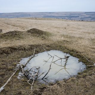 Dal 14 settembre a Torino la mostra fotografica &quot;No man's land&quot; di Stefan Badulescu