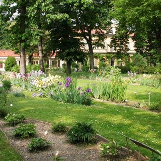 Gli eventi in programma a febbraio all'Orto Botanico di Torino