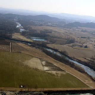 alberi piantati da poco