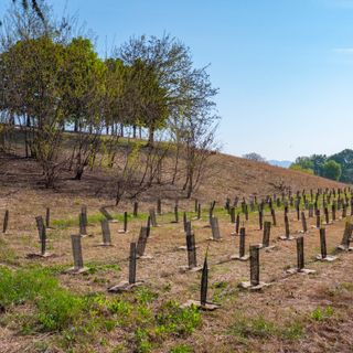 Grazie alla iniziativa “Compostiamoci bene” arrivano 3000 nuovi alberi al Parco Piemonte