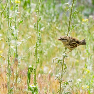 In vista un ritorno della primavera, ma nel prossimo weekend…