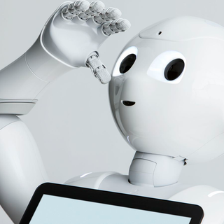 Orbassano, due robot ritrovati nella campagna vicina all'ospedale San Luigi