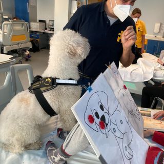 Miracoli della Pet therapy tra i piccoli pazienti del Regina Margherita di Torino: cani per aiutare i bimbi in difficoltà