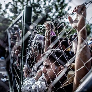 Photo by Sandor Csudai Photo by Sandor Csudai