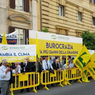 Coldiretti, gli imprenditori piemontesi a Roma per chiedere i rimborsi calamità