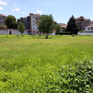 Universiade 2025, il Comitato Salviamo i prati di Parella attacca: &quot;Studentato costruito a danno degli orti, inaccettabile&quot;