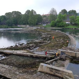 Pulizia del Po, interventi conclusi con la rimozione di tronchi e legname dalla traversa Michelotti