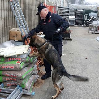 Preparavano e consegnavano pane, focacce e cocaina, chiuso panificio