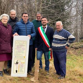 I Saggi di Ingria e il rito della quercia