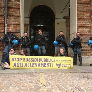 G7, Ribellione Animale imbratta di letame la sede della Prefettura di Torino